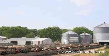 Beef production decreasing; Prices higher