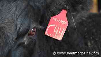 Better beef biosecurity needed