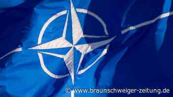 Ungarns Parlament ratifiziert Nato-Beitritt von Finnland