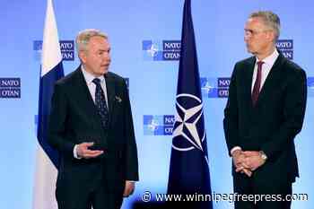 Finland’s NATO membership: What’s next?