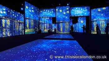 Vincent Van Gogh Exhibition - Millie D, St John's School