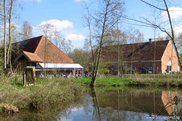 Je moet niet naar Hallerbos om voorjaarsbloeiers te bewonderen, kom zondag naar Zevenbergenbos en vier mee 25 jaar beheer door Natuurpunt