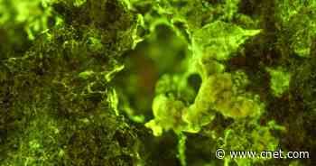 Space Exploration Could Lower Home Energy Bills in Weird, Wonderful Ways     - CNET