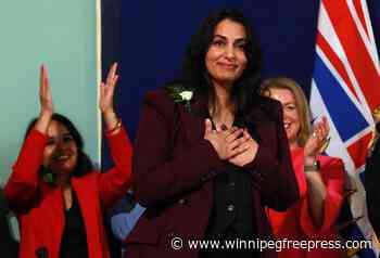 B.C. plans family law changes to decide who gets the pets when couples split