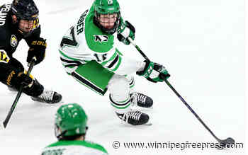 Gaber puts NHL aspirations on hold