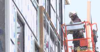 N.B. advocate says temporary foreign worker program needs ‘serious reforms’ before expanding