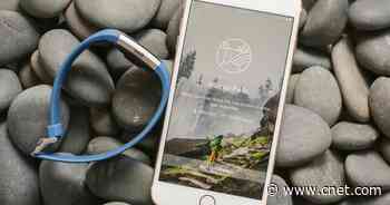 Fitbit Shuts Down Some Popular Social Features     - CNET