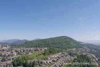 Second public hearing delayed for McKee Neighbourhood Plan in Abbotsford