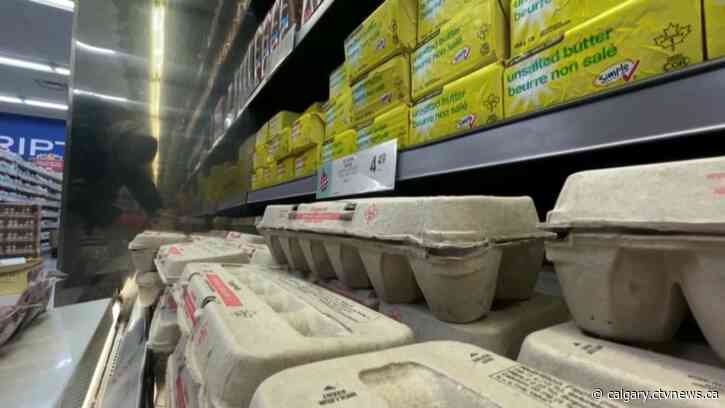 Federal budget to include grocery rebate for lower-income Canadians