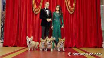 WATCH:  Corgis get VIP tour of Madame Tussauds’ new Royal Palace attraction