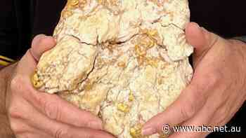 Gold hunter's $240k payday as more Victorians try their hand at getting rich