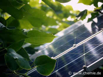 Durchbruch auf dem Weg zur biologischen Solarzelle
