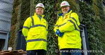 Sunderland living walls helping tackle pollution and constructed with over 50,000 plants unveiled