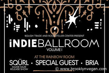 SQÜRL (Jim Jarmusch & Carter Logan) & Bria playing the Rainbow Room for new indieballroom series