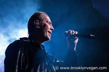 Celebrating David Bowie dates rescheduled as Peter Murphy recovers from "unexpected medical procedure"