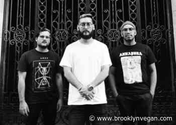 Colombian screamo bands Vientre & Mico doing US tour after ZBR Fest