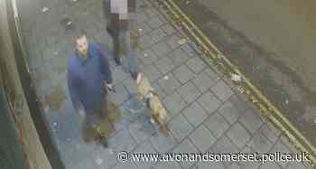 Renewed appeal to identify dog walker after robbery in Bristol