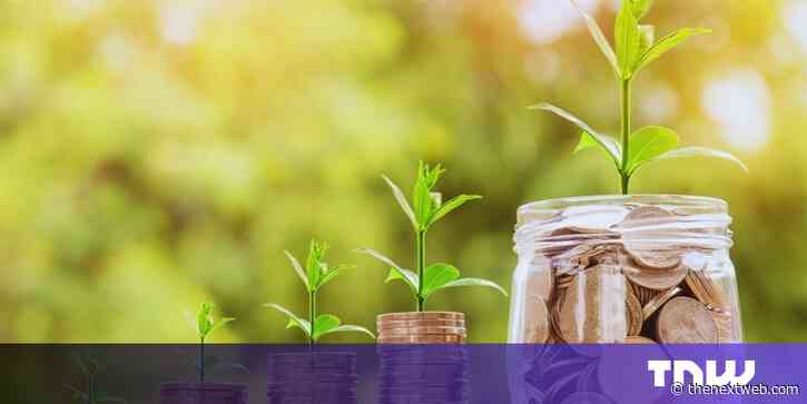 How an outsider’s freedom can make a successful startup founder