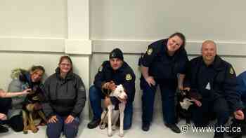 How inmates in a new program at the Thunder Bay Correctional Centre are making special canine connections