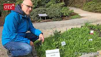 Besuch im Botanischen Garten Jena zum „Welttag des Unkrauts“