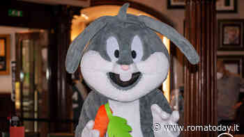 Breakfast with Bunny