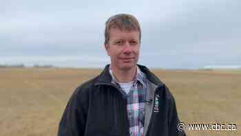 Farmer frustrated about missing climate action in Sask. budget