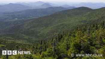 Climate change: trees grow for extra month as planet warms - study