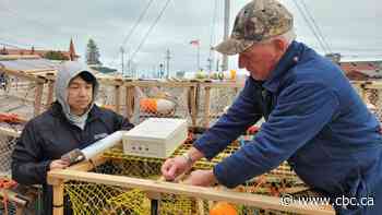 Halifax company pilots new technology to track lobster traps