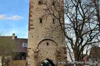 Warburg: Sorge um Nistplätze für Uhus und Dohlen im Johannisturm