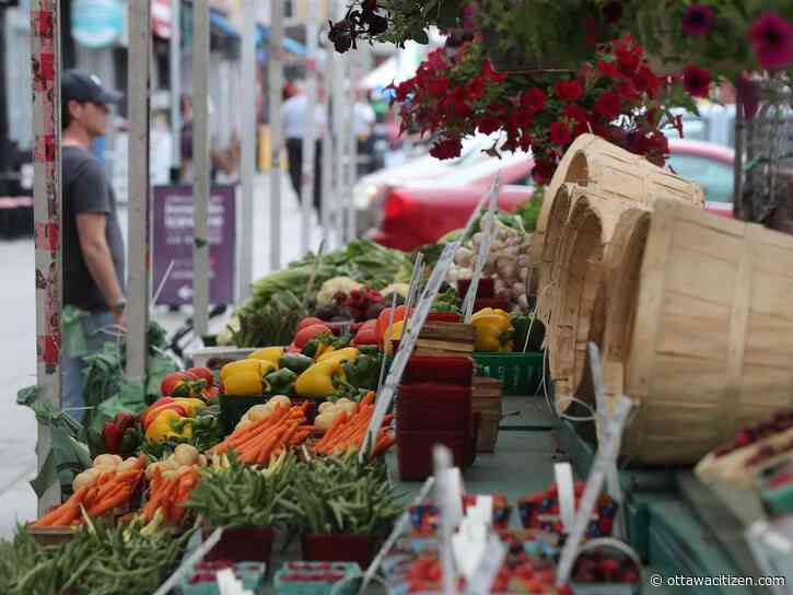Imre: Give Ottawa Markets credit for boosting history, tourism and culture