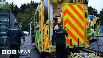 Isle of Wight ambulance wait times linked to patient's death - report