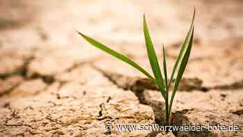 Erderwärmung: Althengstett stellt sich auf Klimawandel ein