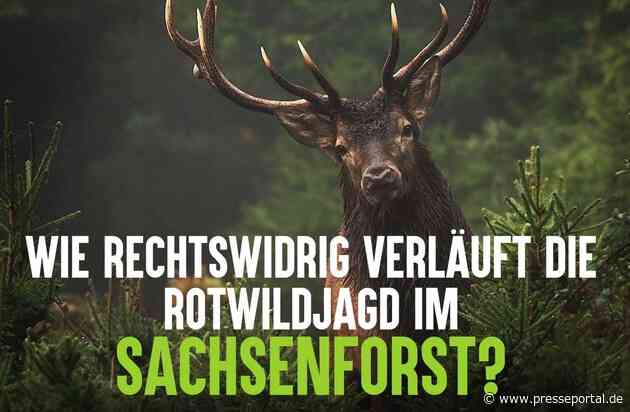 Wildtierschutz Deutschland erstattet Strafanzeige: Rechtswidrige Jagdausübung im Staatsbetrieb Sachsenforst