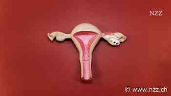 KOMMENTAR - Zwischen vaginalem Stricken und freier Geschlechtswahl: Unser Umgang mit  Körperlichkeit ist widersprüchlich