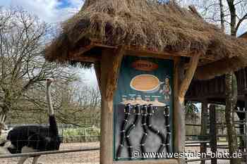Tierpark Ströhen: Entdecker gesucht