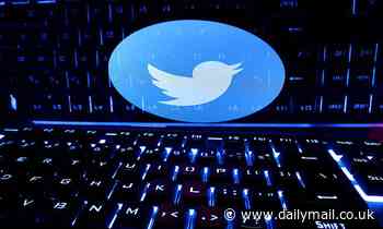 Twitter has a secret VIP list that goes against Elon Musk's idea of 'treating everyone equal'