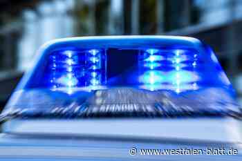Warburg: Leitpfosten und Schilder bei Scherfede-Hardehausen gestohlen