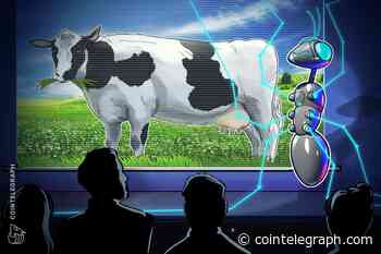 How Irish farmers turn cow dung into digital gold (Bitcoin)