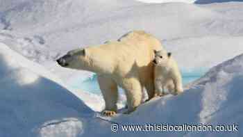 The Willow Project, another broken promise- Jevan Sathyamoorthy WCGS