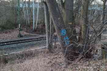 Anwohner fürchten Baumfällungen in Berg Fidel