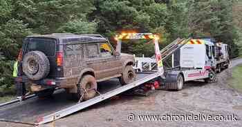 Police crackdown after 'illegal' use of roads in Slaley Woods by 4x4s causes 'considerable damage' to countryside