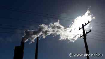 The government's climate policy will 'keep the lights on' for the energy industry, but could it increase power prices?