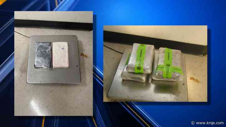 Dogs sniff out 15 pounds of cocaine at El Paso border crossing