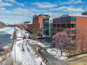In February, 79% of Quebec's Airbnb rentals weren't certified: housing group