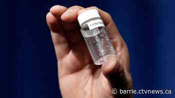 Seven drug overdoses, including 2 deadly ones, reported in Grey Bruce