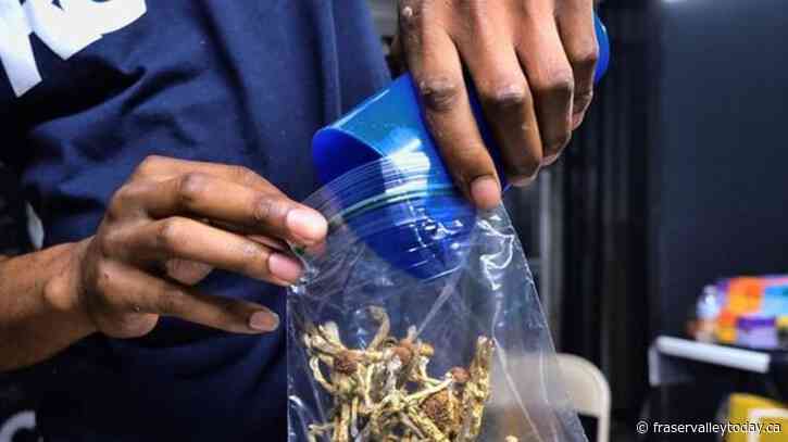 Health care professionals fight decision to reject access to psilocybin for training