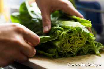 This simple hack can keep your lettuce fresh for up to 30 days