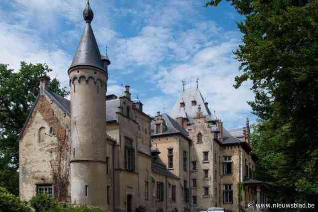 Kopen of niet? Gemeente vraagt inwoners om advies over al of niet verwerven van sprookjesachtig kasteel van Westmalle