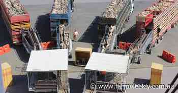 Pastoralist takes up the fight