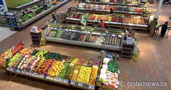 Sask. people to receive ‘grocery rebate’ from federal government